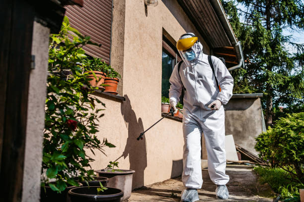 Best Best Pest Control Companies  in Midway, GA