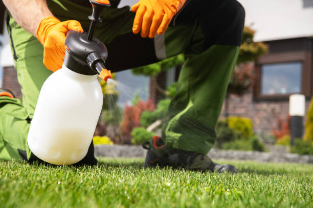 Best Pest Removal Services  in Midway, GA