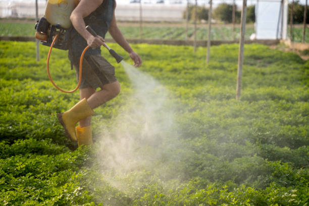 Best Pest Control for Businesses  in Midway, GA