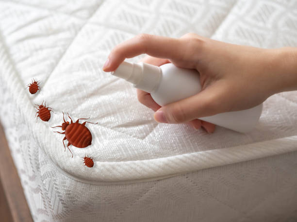 Best Cockroach Control Services  in Midway, GA