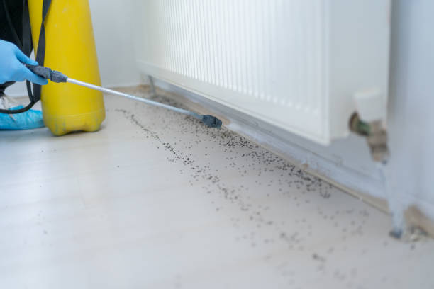 Best Mosquito Control Services  in Midway, GA